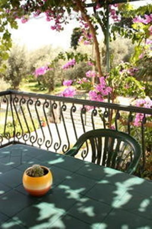 Apartments & Rooms M Petrovac Ngoại thất bức ảnh